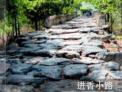 iphone_upload_pic-阳台山自然风景区