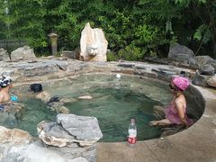 -中家鑫园温泉酒店鑫悦汤泉