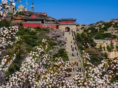 -泰山风景名胜区