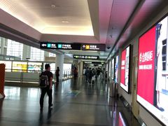 -厦门高崎国际机场-T3航站楼