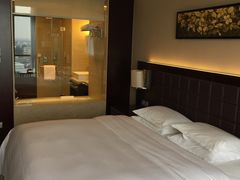 -上海浦东绿地铂骊酒店