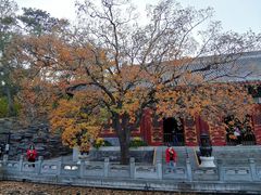 -香山公园