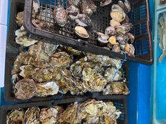 -云南巷海鲜大咖·可加工海鲜