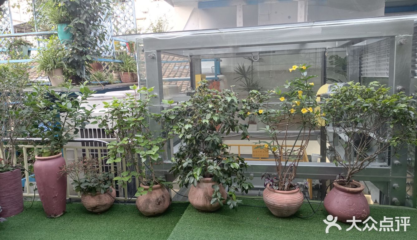 人在花间住人在草木中～咖啡馆里有个小小植物园