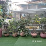 人在花间住人在草木中～咖啡馆里有个小小植物园