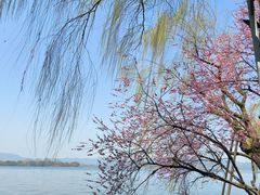 -西湖天地