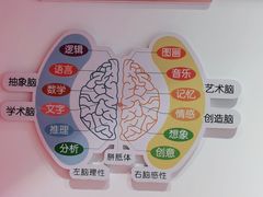 -七田阳光全脑教育(万达店)