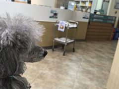-美联众合动物医院·24h转诊中心
