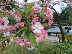 -四川大学(望江校区)
