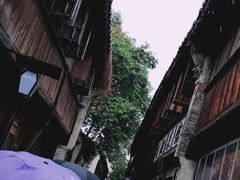 -乌镇西栅景区