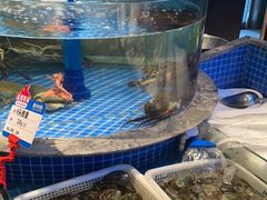 -海立阁海鲜江浙菜(漕河泾印象城店)