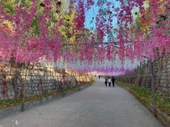 -北京十三陵国家森林公园蟒山景区