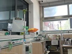 -中国农业大学动物医院