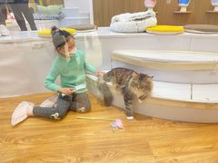 -COLOR PETS 撸猫馆·购猫·猫咖(长风大悦城店)