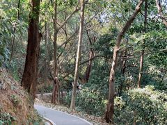 -广州市白云山风景名胜区