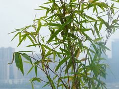 -酒城大贰火锅旗舰店