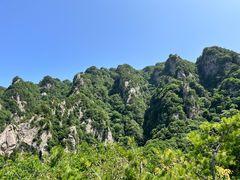 -王顺山国家森林公园