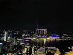 -新加坡瑞士史丹福酒店