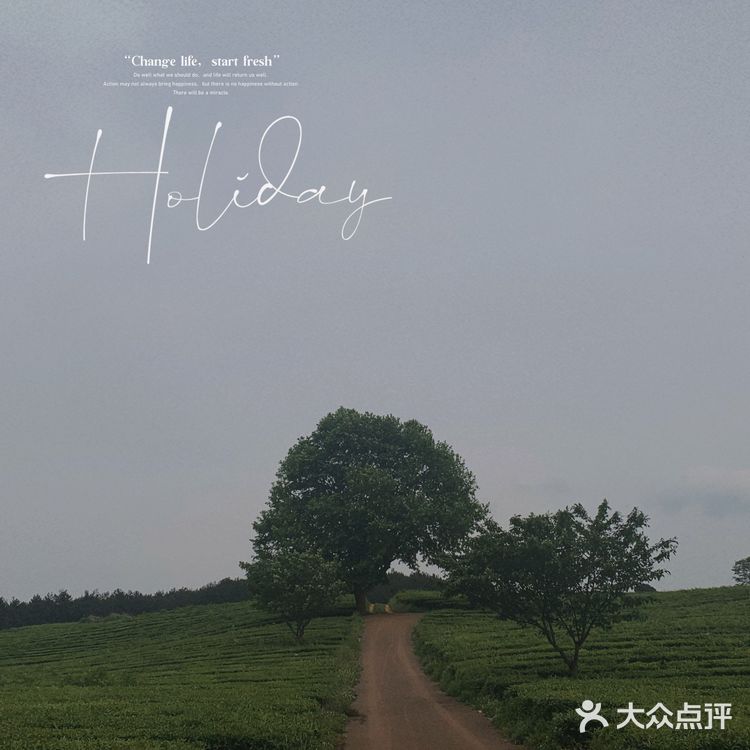 位于花溪的羊艾茶场，非常推荐大家伙去看看