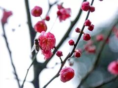 -南山植物园