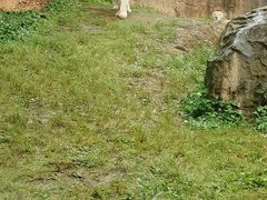 -杭州野生动物世界