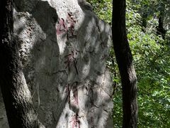 -沣峪森林公园龙潭戏水景区