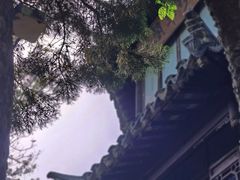 -拙政园