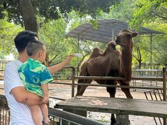 -广东茂名森林公园