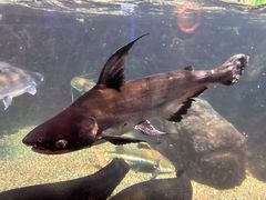 -太平洋海底世界