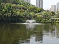 -重庆彩云湖湿地公园
