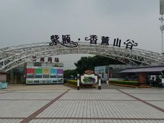 -紫颐香薰山谷景区
