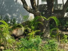 -石排湾郊野公园