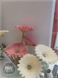 -爱空间美睫健康美甲
