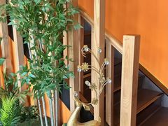 -泰古龙抓龙筋·spa按摩(浦东店)