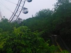-富斯特索道