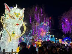 -淄博花灯齐彩城
