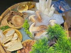 -菌彩云南野生菌火锅(万达广场店)