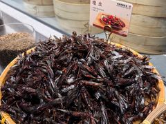 -老凯俚酸汤鱼(多彩城店)