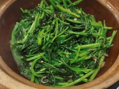 -熠盛粤味·顺德桑拿鸡(永康路店)