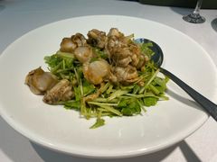 山芹拌扇贝-开海·红岛海鲜虾水饺(石老人店)