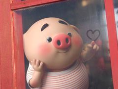 -珍妮曲奇聪明小熊(上环店)