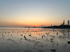 -深圳湾公园(南山区)