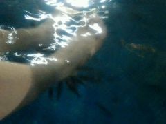 -金孔雀温泉旅游度假村