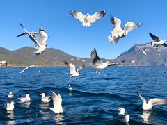 -丽江泸沽湖景区