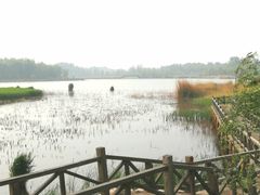 -野鸭湖国家湿地公园