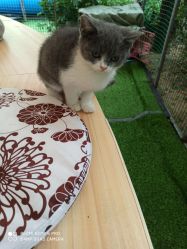 -萌宠亲子动物乐园(槐房万达店)