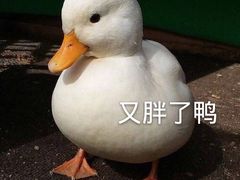 -欢乐牧场(T12店)