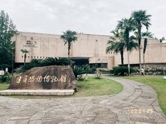 -自贡恐龙博物馆