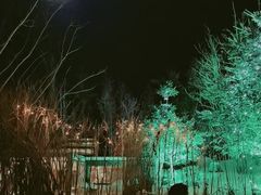 -长白山聚龙火山温泉