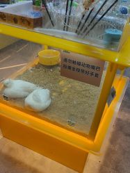 -神奇动物撸宠馆·羊驼·小浣熊·异宠(豫园店)